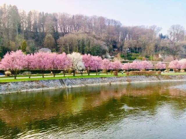 Li Stole Otel Durbuy Dış mekan fotoğraf